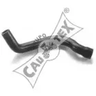 cautex-026184