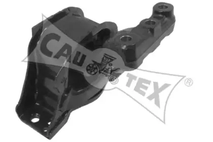 cautex-031501