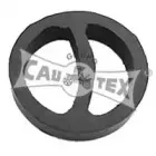 cautex-200468
