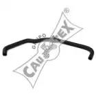 cautex-026122