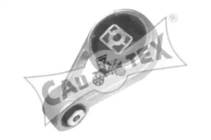 cautex-080224