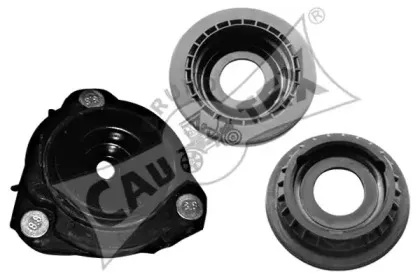 cautex-081239