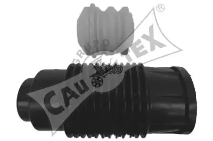 cautex-482513