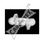 cautex-010128