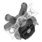 cautex-461144