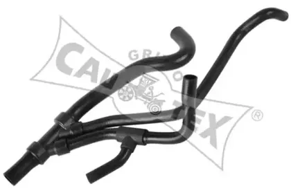 cautex-026784