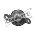 cautex-030305