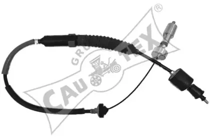 cautex-028450