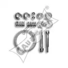cautex-030343
