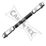 cautex-030404