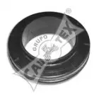 cautex-030444