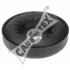 cautex-010913