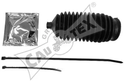 cautex-030619