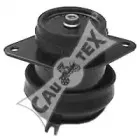 cautex-010472