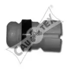 cautex-031407