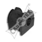 cautex-080198