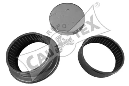 cautex-031431