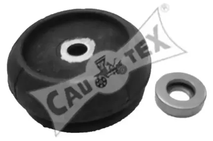 cautex-480106