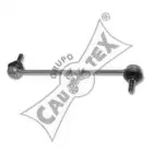 cautex-460903