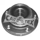 cautex-461023