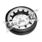 cautex-030901