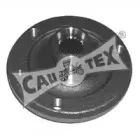 cautex-031007