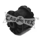 cautex-460041