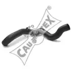 cautex-026460