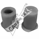 cautex-010606