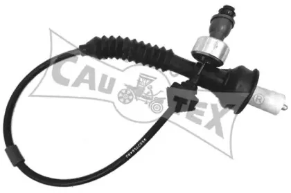 cautex-038319