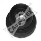 cautex-030353
