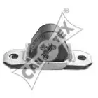 cautex-010613