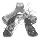 cautex-461086