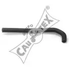 cautex-466038