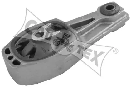 cautex-031508