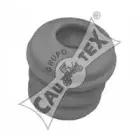cautex-480105