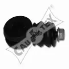 cautex-460897