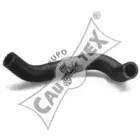 cautex-466019
