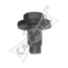 cautex-081013