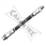 cautex-030401