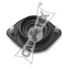 cautex-080021