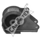 cautex-010707