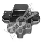 cautex-461049