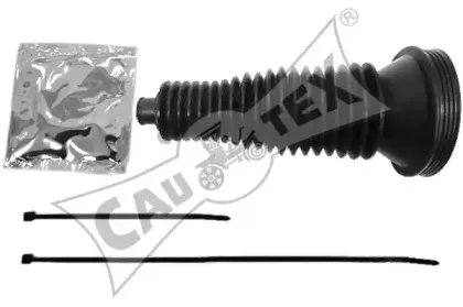 cautex-462506