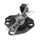 cautex-020118