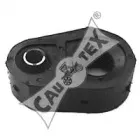 cautex-020821