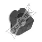 cautex-460910
