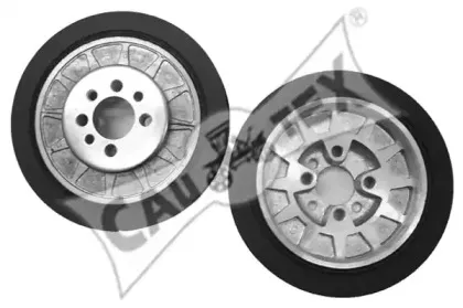 cautex-460962