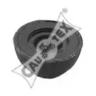 cautex-010130