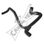 cautex-026581